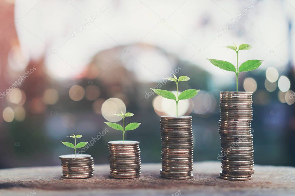 money, plant on pile coins growing concept and the financial goals success. 