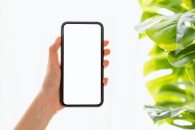 Masadaki boş ekranın akıllı telefon maketi. Reklam yapmak için ekranınızı alın.