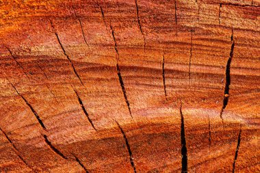 ahşap soyut doku arka plan.