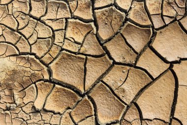 Kuraklık, dünya çatlaklar, doğal afetler.