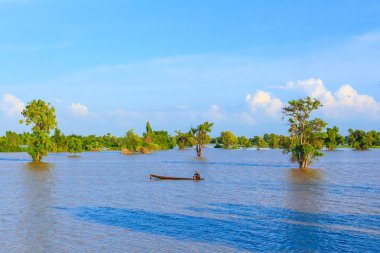Sel tarım alanı, Roi Et, Thailand.