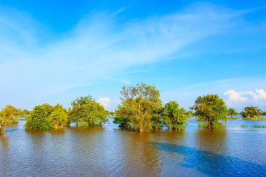 Sel tarım alanı, Roi Et, Thailand.
