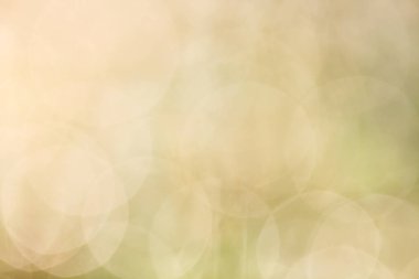 Arka plan bulanıklık bokeh güzel .
