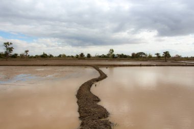 Güzel bir atmosfer boş alan Tayland.