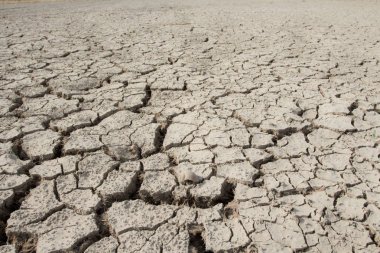 Kuraklık, dünya çatlaklar, doğal afetler.
