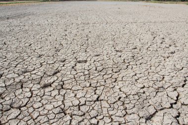 Kuraklık, dünya çatlaklar, doğal afetler.