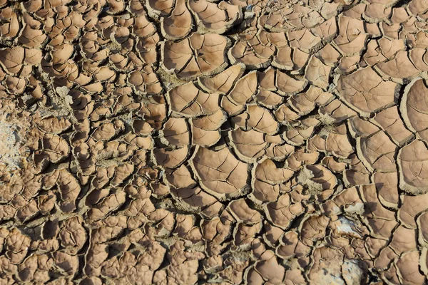 Засуха Трещины Земле Стихийные Бедствия — стоковое фото
