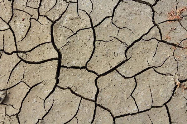 Drought, earth cracks, natural disasters.