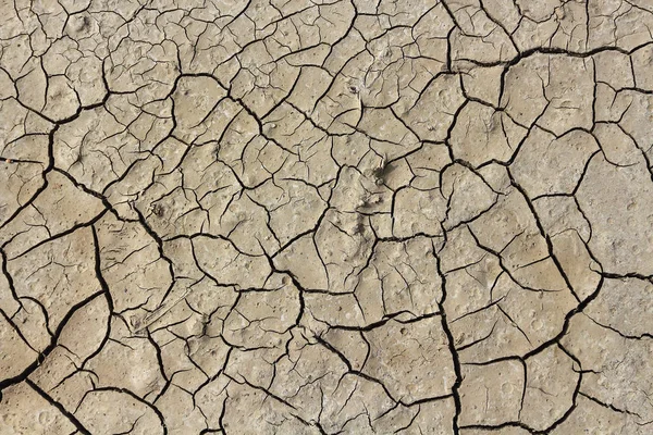 Засуха Трещины Земле Стихийные Бедствия — стоковое фото