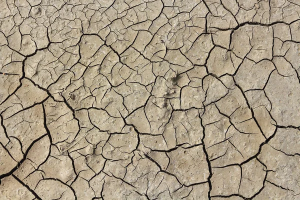 Seca Rachaduras Terra Desastres Naturais — Fotografia de Stock