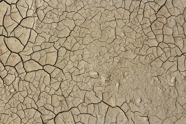 Drought, earth cracks, natural disasters.