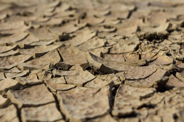 Drought Earth Cracks Natural Disasters — Stock Photo, Image