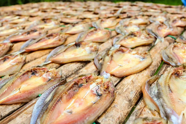 Pescado Seco Por Luz Del Sol Tailandia —  Fotos de Stock