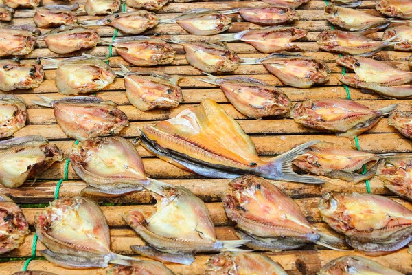 Fisk Tørket Sollys Thailand – stockfoto