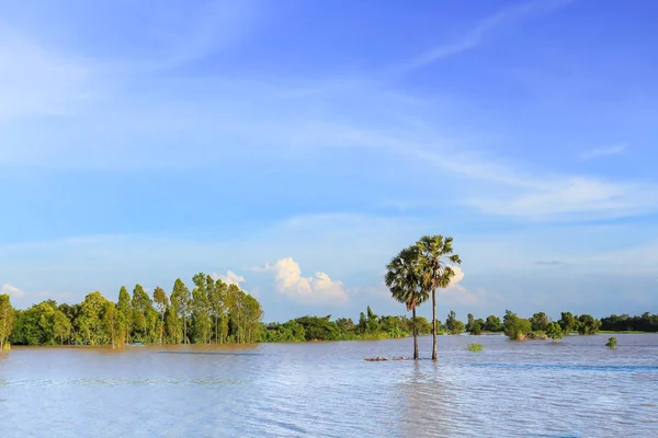 Sel tarım alanı, Roi Et, Thailand.