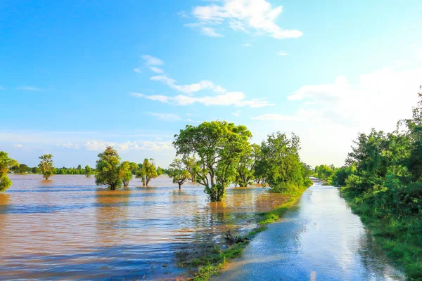 Kırsal yol Tayland güzel.