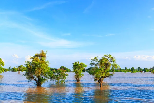 Kırsal yol Tayland güzel.