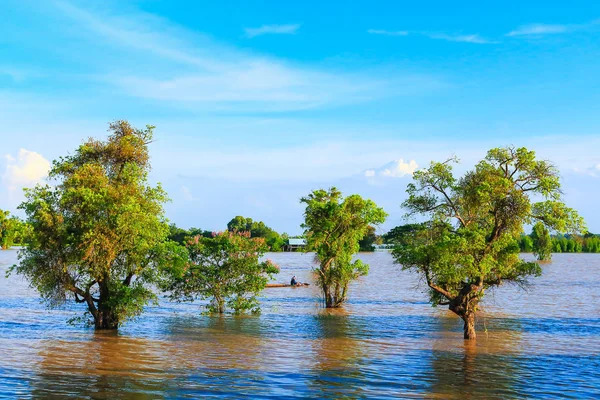 Kırsal yol Tayland güzel.