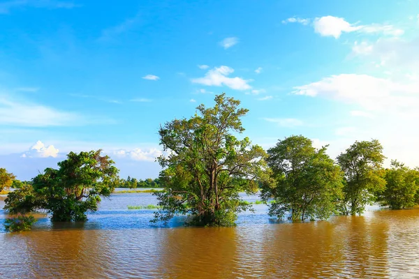 Sel tarım alanı, Roi Et, Thailand.