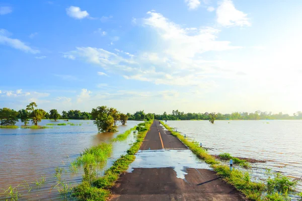 Rural Road Beautiful Thailand — Stock Photo, Image