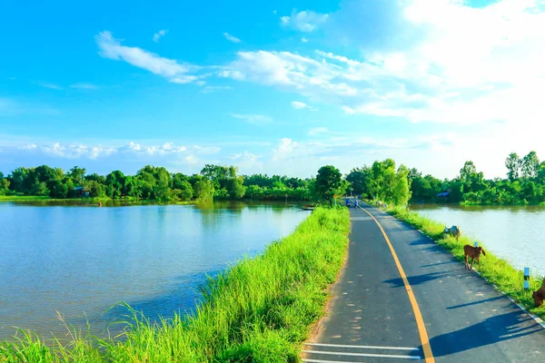 Kırsal yol Tayland güzel.