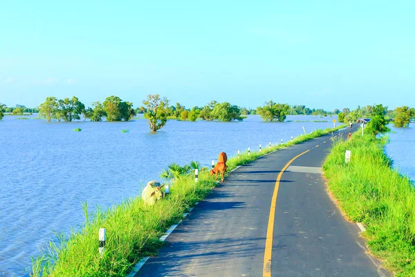 Kırsal yol Tayland güzel.