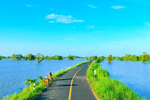 Kırsal yol Tayland güzel.