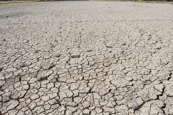Drought, earth cracks, natural disasters.