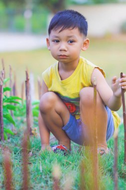 Mutlu çocuklar çim içinde oynamaya. parlak yumuşak atmosferde.
