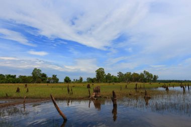 Sirindhorn Barajı. Sirindhorn görünümünü baraj Ubon Ratchathani Tayland.