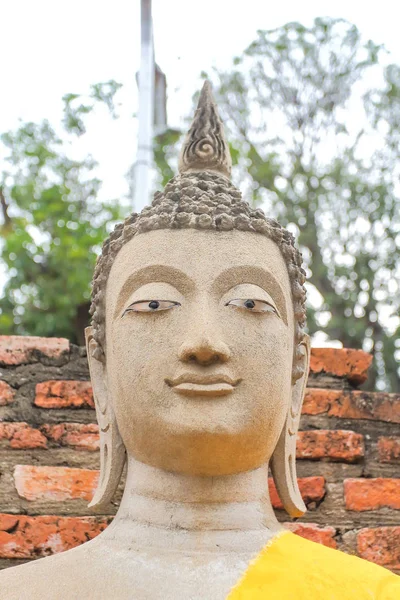 Antika Buddha Wat Yai Chai Mongkol Thailand — Stockfoto