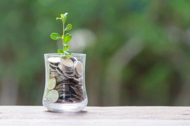 Bitki büyüme dolarlık tasarruf bozuk para - para kavramı kaydetme