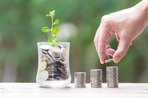 Bitki büyüme dolarlık tasarruf bozuk para - para kavramı kaydetme