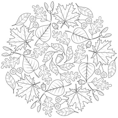 Yetişkinler ve çocuklar için sonbahar yaprağı mandala boyama kitabı sayfası