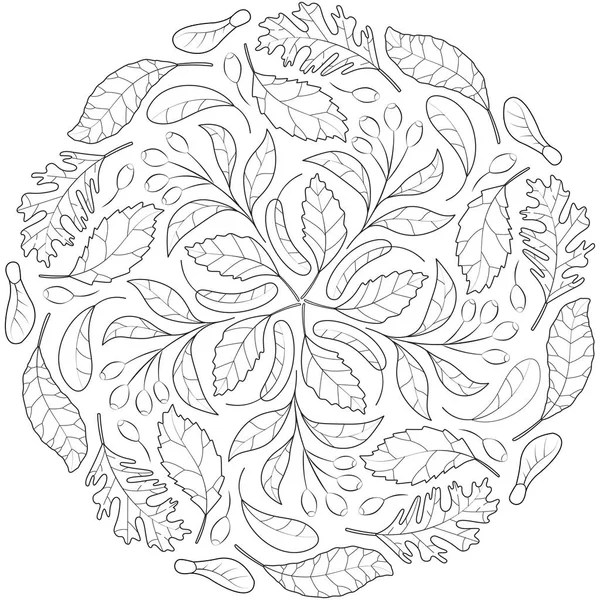 Herbstblatt Mandala Schwarz Weißer Vektor — Stockvektor