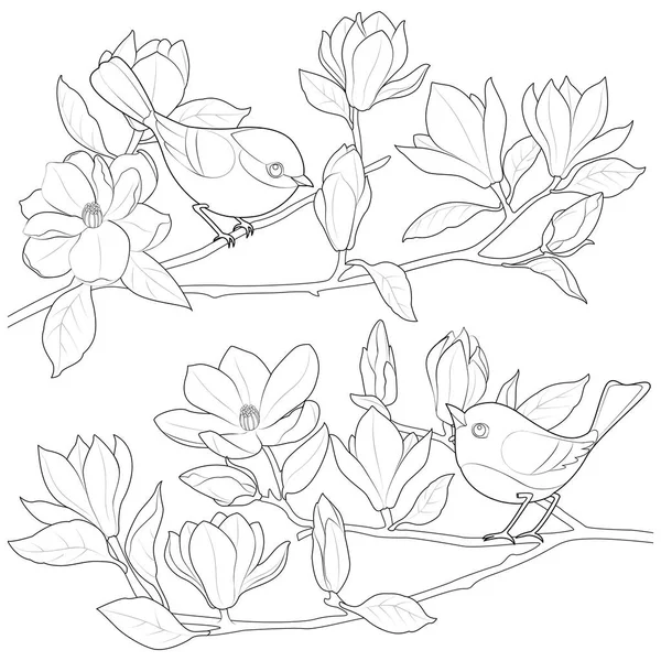 Oiseaux Sur Une Branche Magnolia Illustration Vectorielle Noir Blanc — Image vectorielle