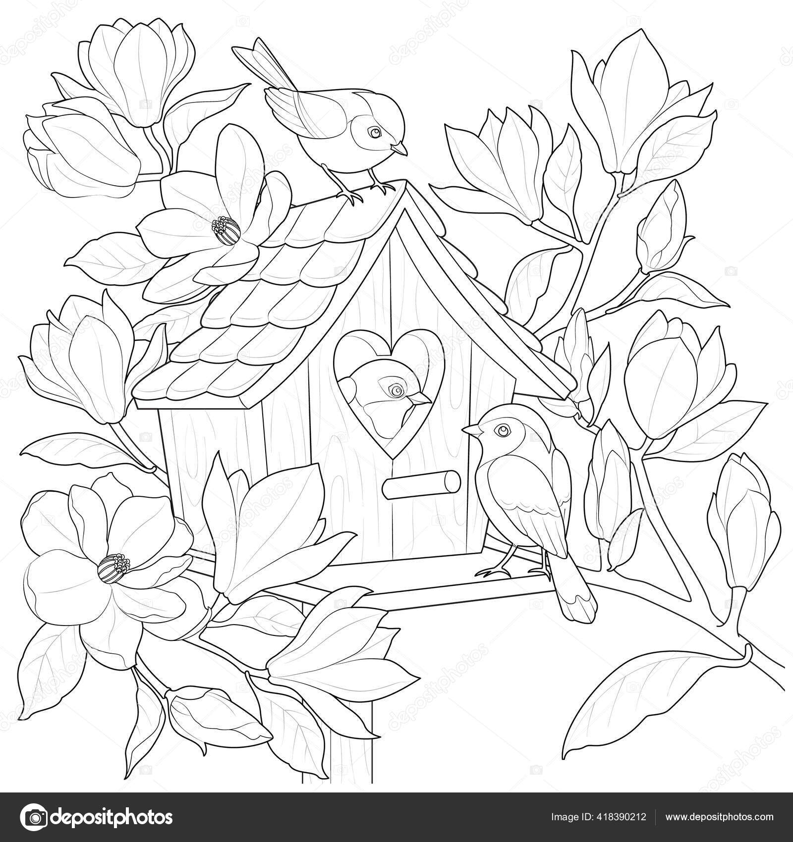 Bird House Birds Magnolia Branch Black White Vector Illustration Stock
