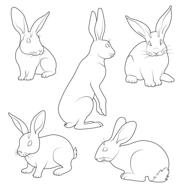 Lapins Mignons Ensemble Illustration Vectorielle Noir Blanc — Image vectorielle