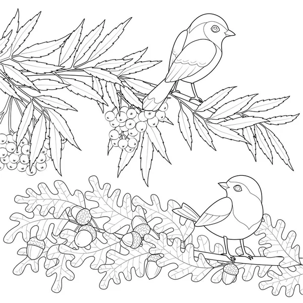 Dos Pájaros Las Ramas Ilustración Vectorial Blanco Negro — Archivo Imágenes Vectoriales