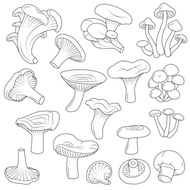 mantar vektörü siyah ve beyaz vektör çizimi