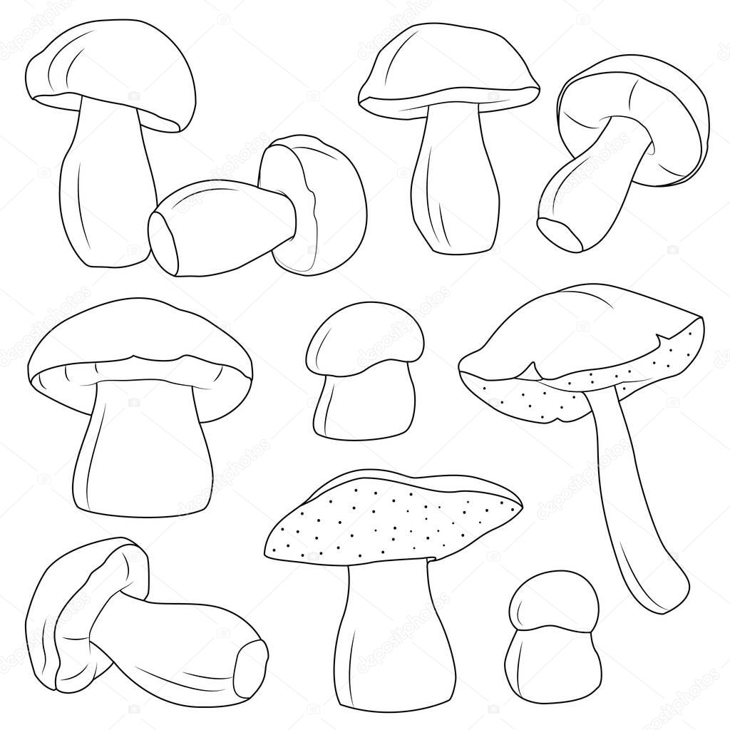 mushrooms vector set black and white vector illustration