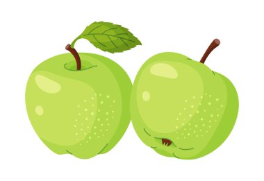 Yapraklı taze yeşil elmalar, taze meyve. Elle çizilmiş yemek tırnağı. Yeşil yapraklı tam meyve, şeffaf arka planda yalıtılmış düz stil. Vektör illüstrasyonu