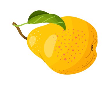 Yeşil yapraklı taze sulu sarı armut. Şeffaf arkaplanda modern düz stil izole edildi. Sağlıklı beslenme, blog, ambalaj, etiket, çevre dostu, sosyal medya, çıkartmalar, menü, poster