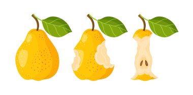 Üç sarı armut. Bütün, kısmen yenmiş ve çekirdek. Moda düz stil. Sağlıklı beslenme, beslenme, tarif blogları, çevre dostu markalaşma, sosyal medya, çıkartmalar, menüler, posterler ve çocuk kitapları için.