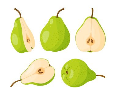 Dilimlenmiş sarı armut. Üç dilim sulu armut, meyve dilimleri, el çizimi, modaya uygun düz stil, şeffaf arka planda izole. Çevre dostu, çıkartma ve menü için. Vektör illüstrasyonu