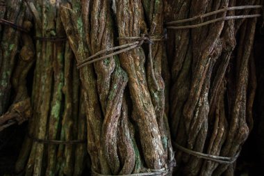 close up chopped stalks of ayahuasca creeper bound and ready to cook. Herbal medicine. woody vine. liana of the soul  clipart