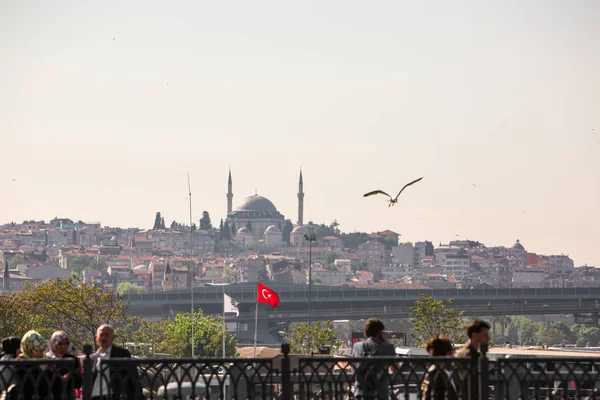 Turecko Istanbul Květen 2019 Panoramatický Pohled Mešitu Suleymaniye Lidé Prohrabájí — Stock fotografie