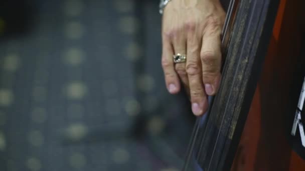 Ein Mann Spielt Die Kontrabass Saiten Nahaufnahme Finger Die Saiten — Stockvideo