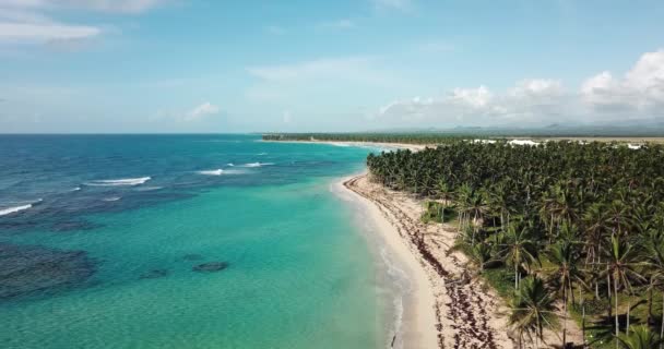 ヤシの木と紺碧の水と野生の熱帯の白い砂浜の空中ビュー 澄んだ青い空 海の表面に波 パラダイス島の美しい自然 — ストック動画