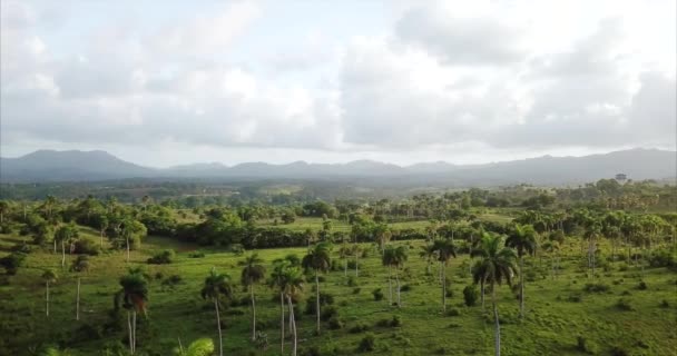 Vista Aérea Prados Verdes Ilimitados Montanhas Palmeiras Nuvens Pôr Sol — Vídeo de Stock